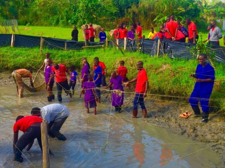 Practical learning in the school grounds