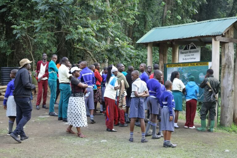 Learning beyond the classroom